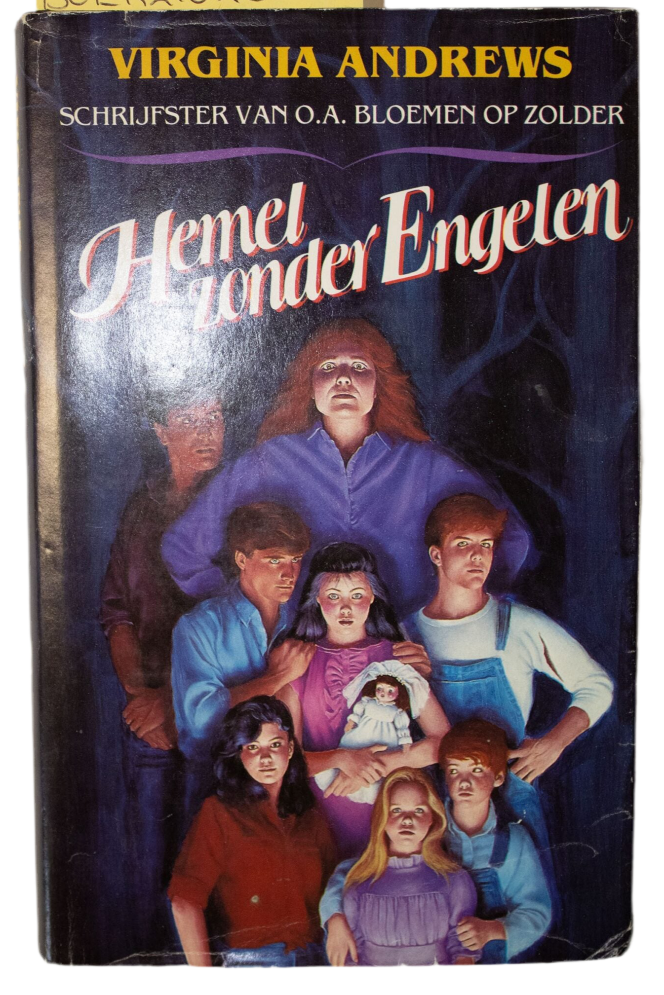 Hemel zonder Engelen-  Virginia Andrews