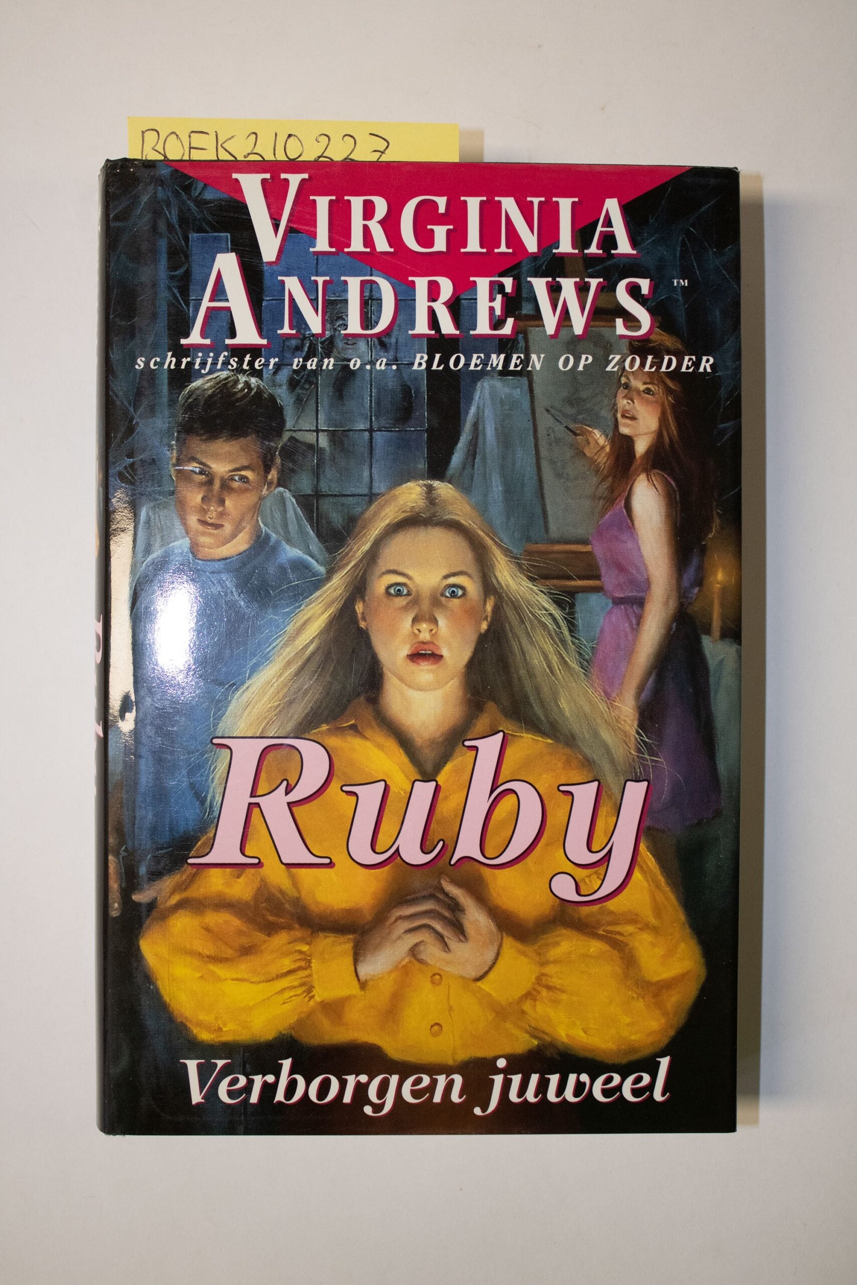 Ruby: Verborgen juweel- Virginia Andrews