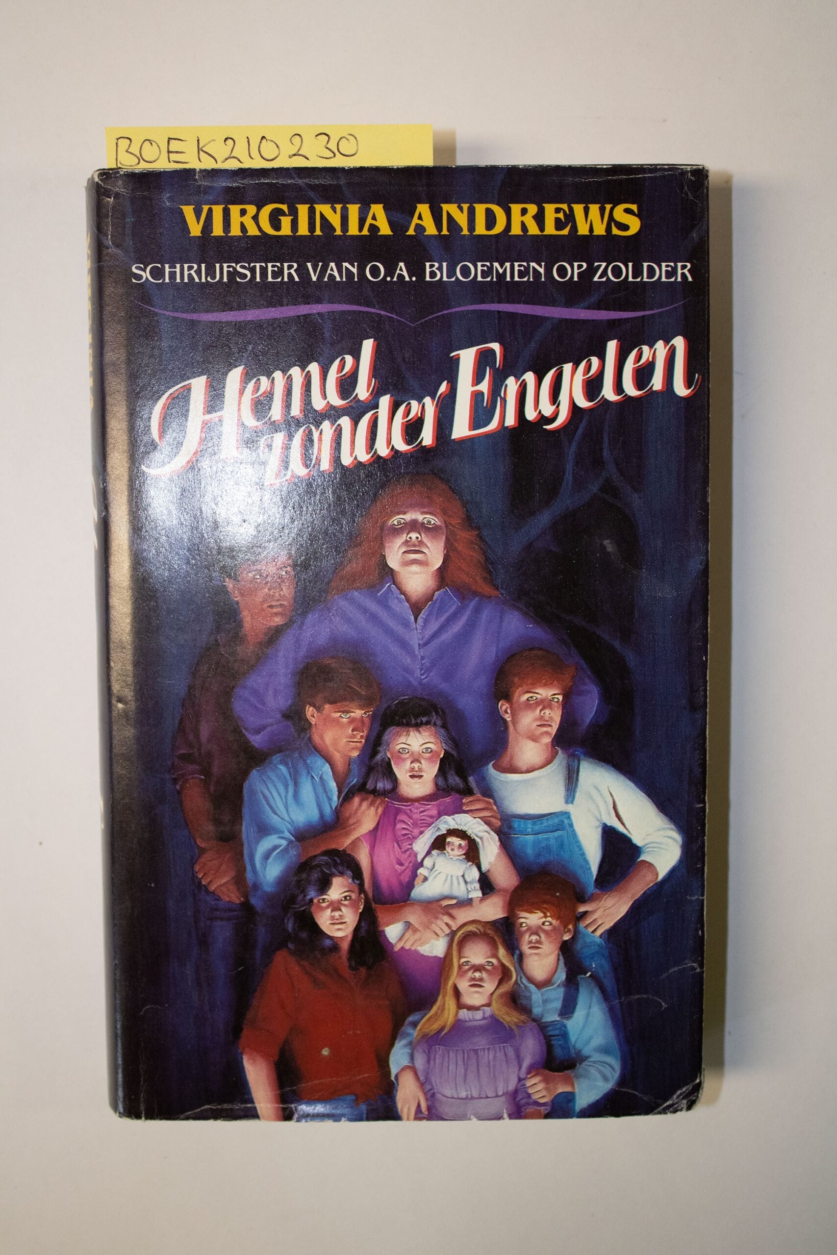 Hemel zonder Engelen-  Virginia Andrews