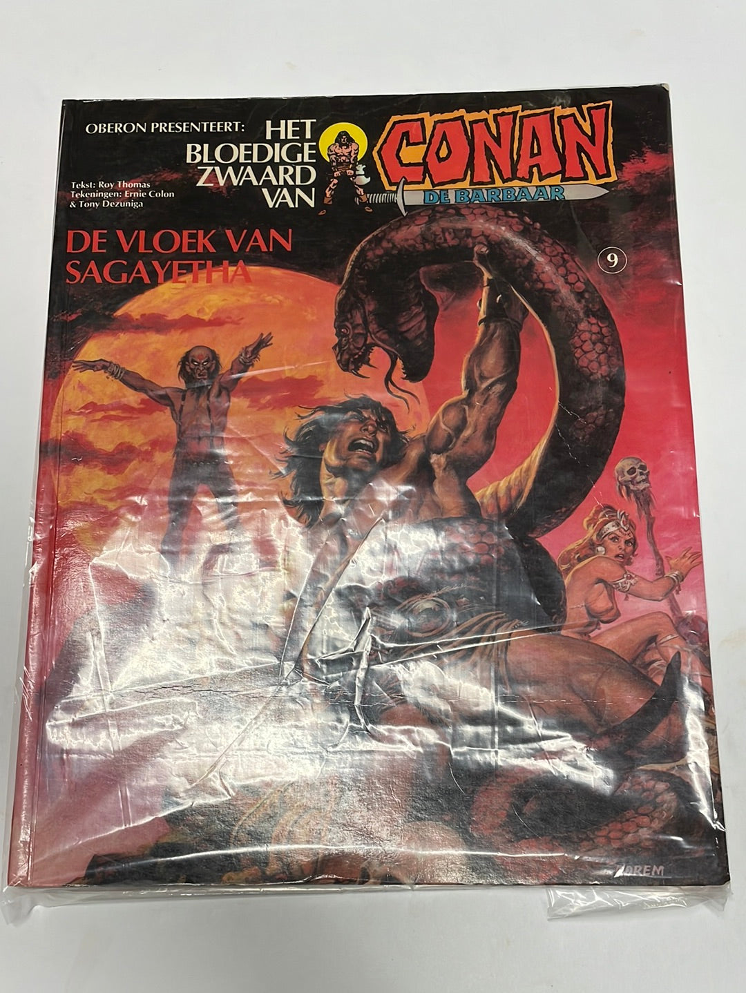 Conan- De vloek van Sagayetha, nummer 9